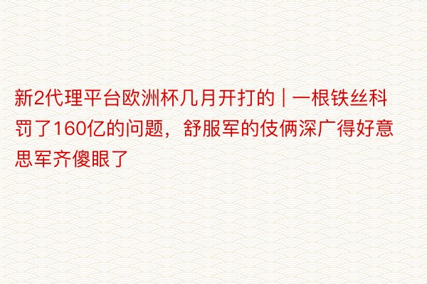 新2代理平台欧洲杯几月开打的 | 一根铁丝科罚了160亿的问题，舒服军的伎俩深广得好意思军齐傻眼了